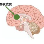 苦しみとは何か？ 痛みを超えた「逃げ場のなさ」の脳科学