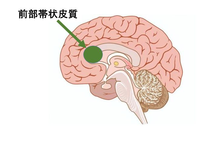 苦しみとは何か？ 痛みを超えた「逃げ場のなさ」の脳科学